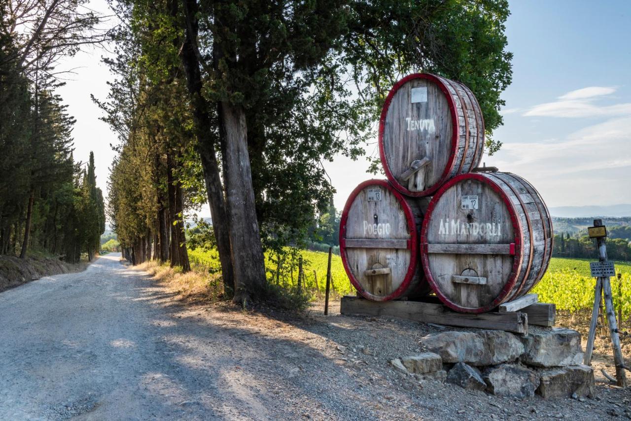 Tenuta Poggio Ai Mandorli Greve in Chianti Exteriör bild